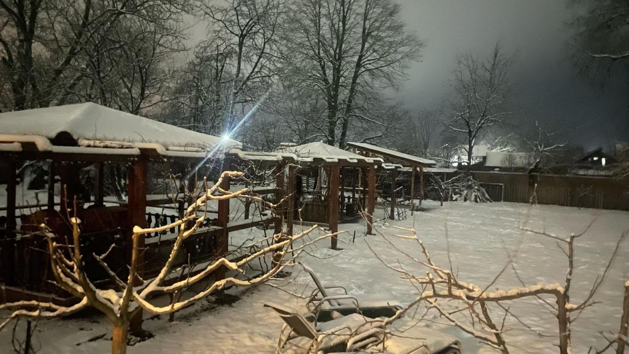 Pensiunea Tania-Nora Alexandru cel Bun Buitenkant foto