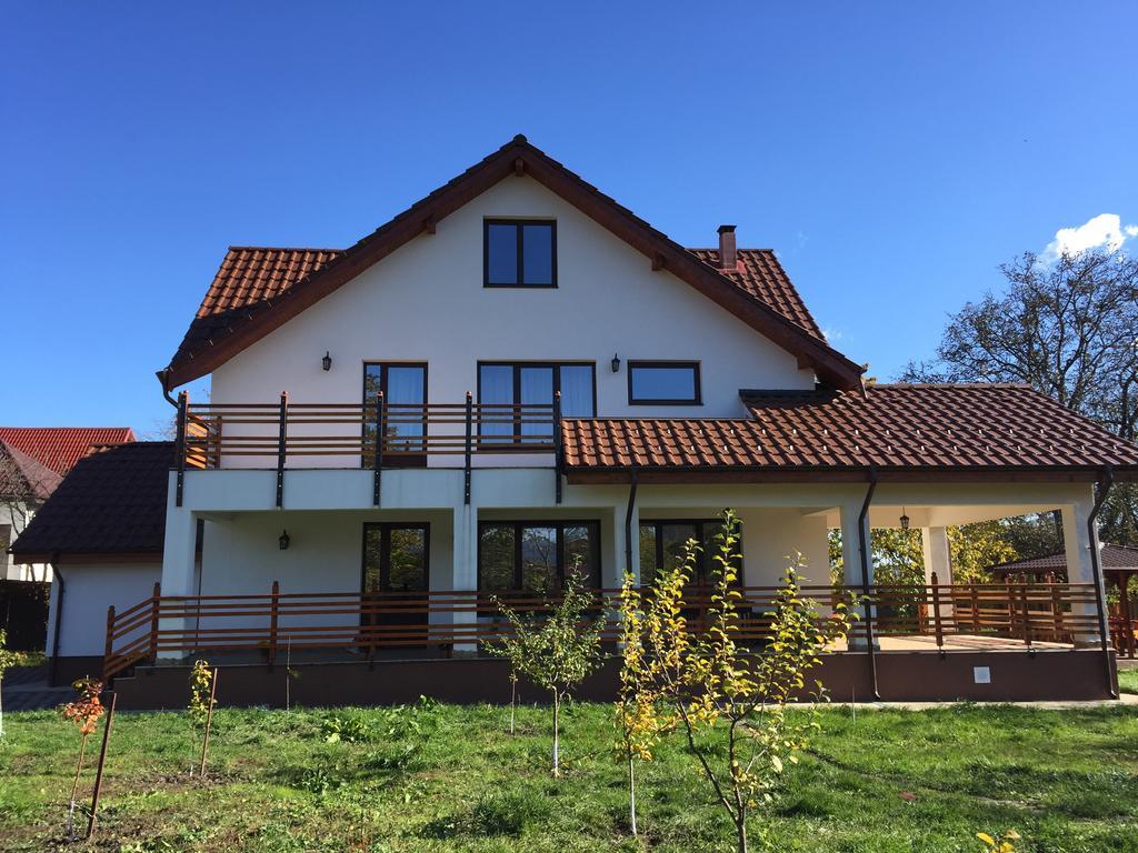 Pensiunea Tania-Nora Alexandru cel Bun Buitenkant foto