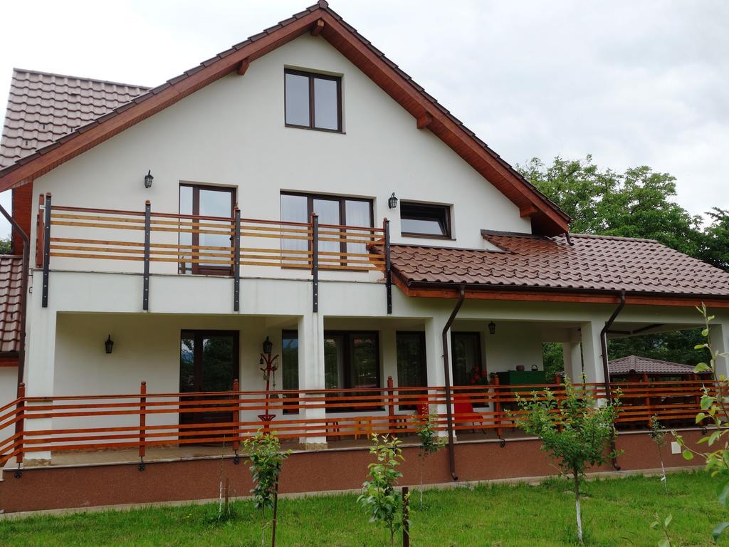 Pensiunea Tania-Nora Alexandru cel Bun Buitenkant foto