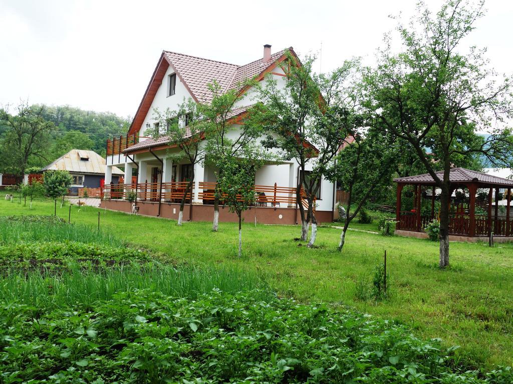 Pensiunea Tania-Nora Alexandru cel Bun Buitenkant foto