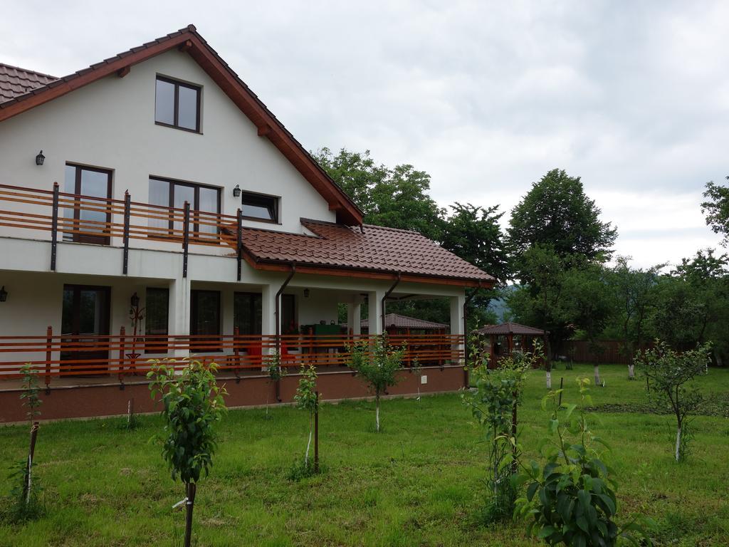 Pensiunea Tania-Nora Alexandru cel Bun Buitenkant foto